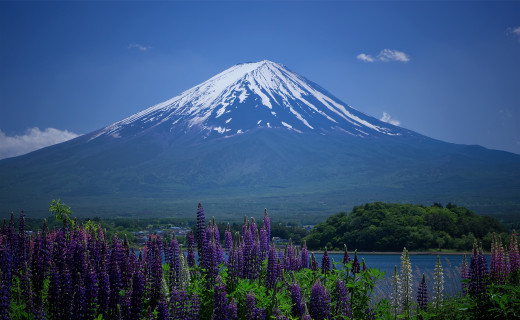 735391 (a): :1920x1180